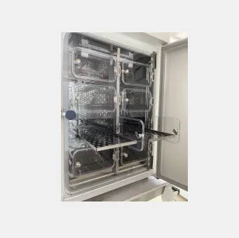 [D884m {0m6hy7me [II [3nqf